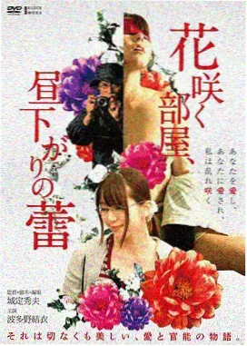 旧城来信都市剧集封面